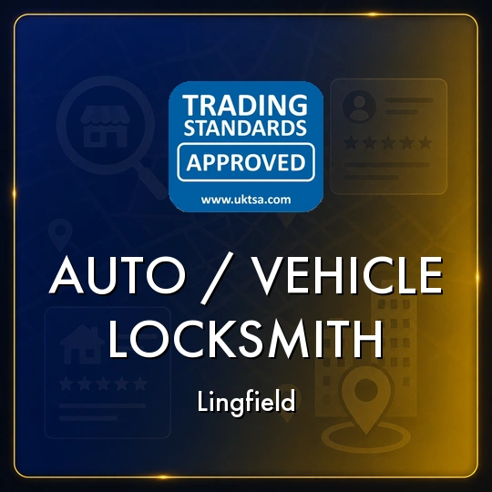 Auto/vehicle