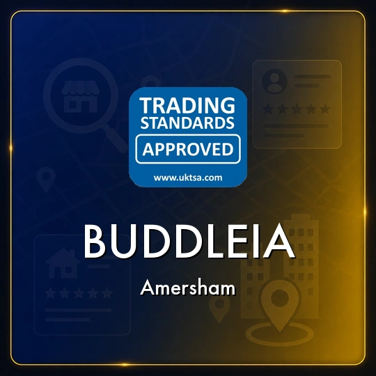 Buddleia