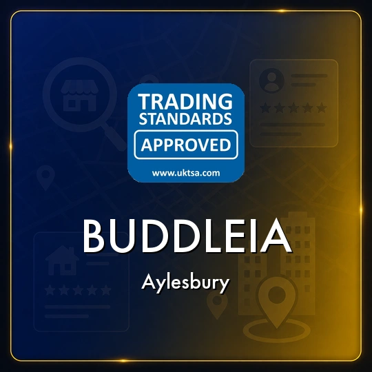 Buddleia
