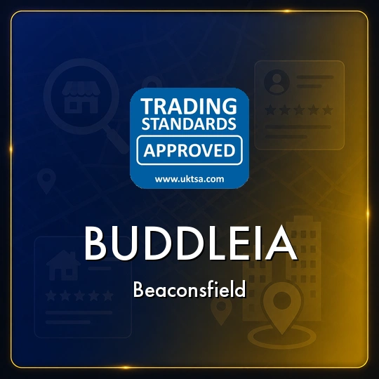 Buddleia