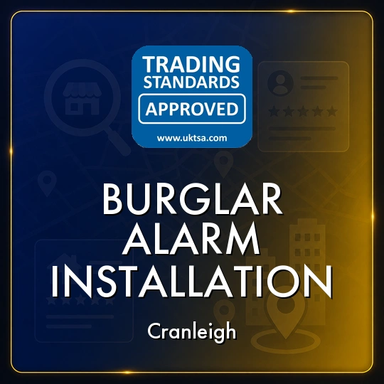 Burglar