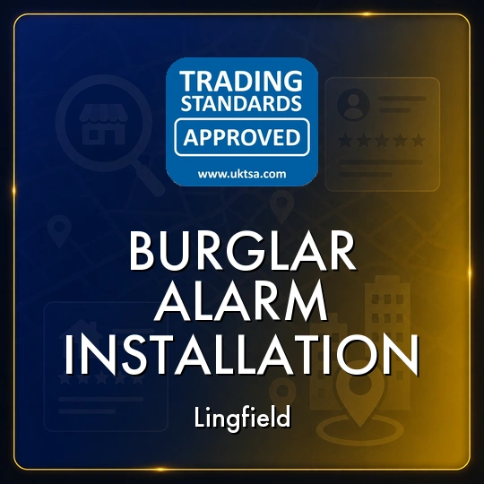 Burglar