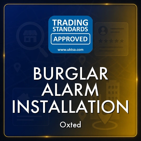 Burglar