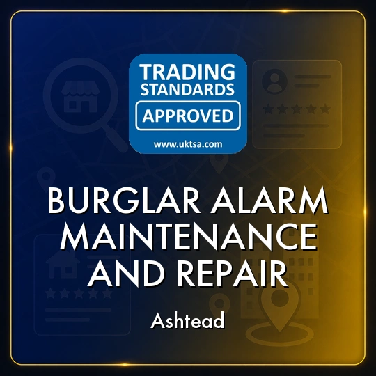 Burglar