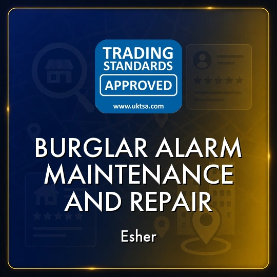 Burglar