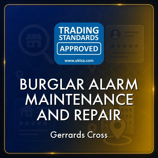 Burglar