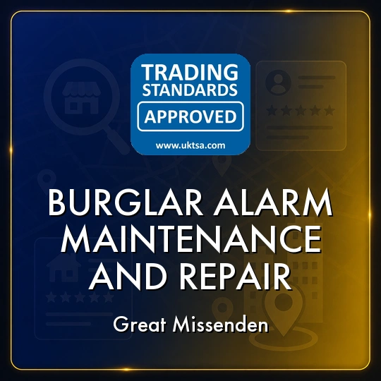 Burglar