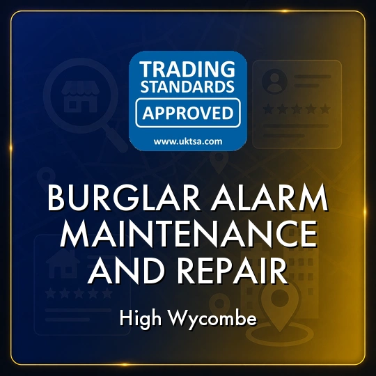 Burglar
