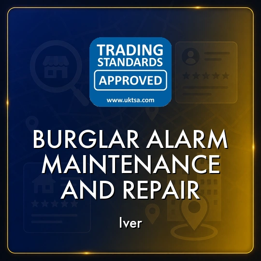 Burglar