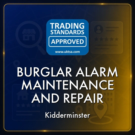 Burglar