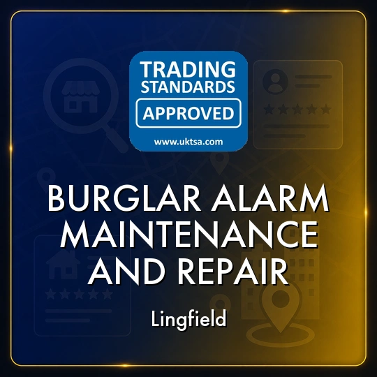 Burglar