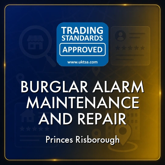Burglar