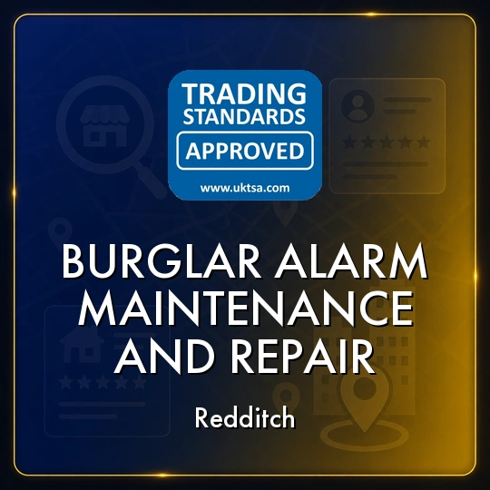 Burglar