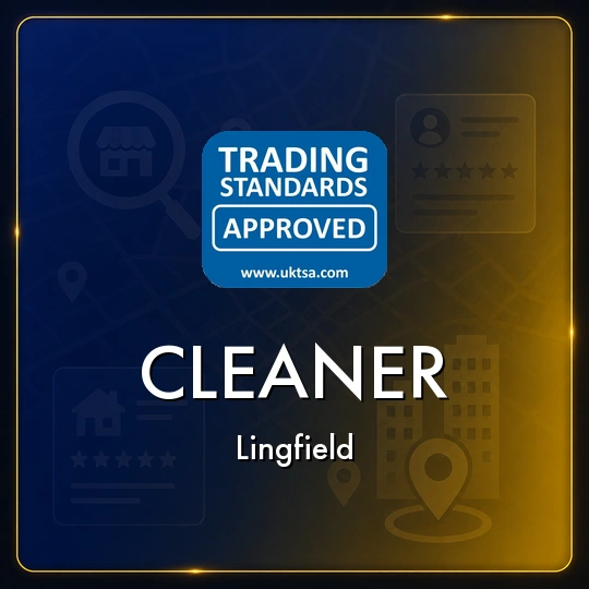 Cleaner