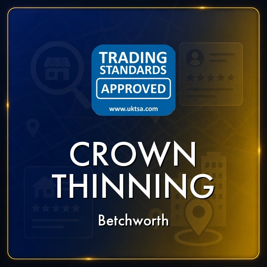 Crown
