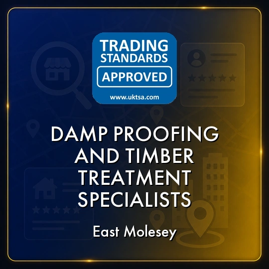 Damp Proofing  And Timber Treatment Specialists in East Molesey