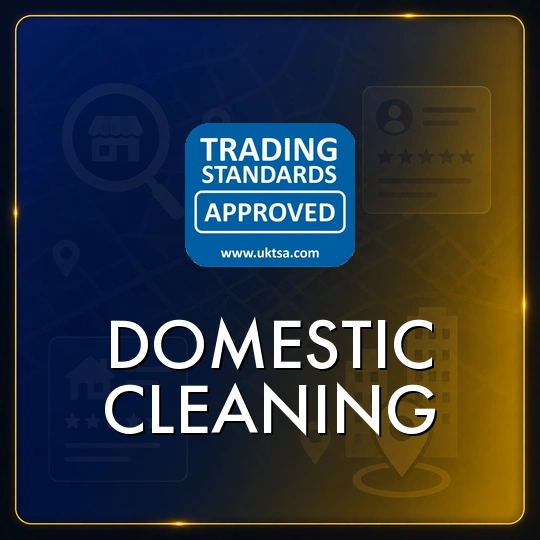 Domestic Cleaning