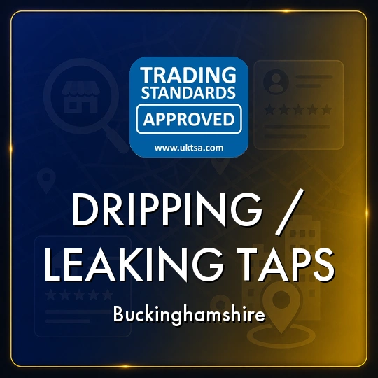 Dripping/Leaking