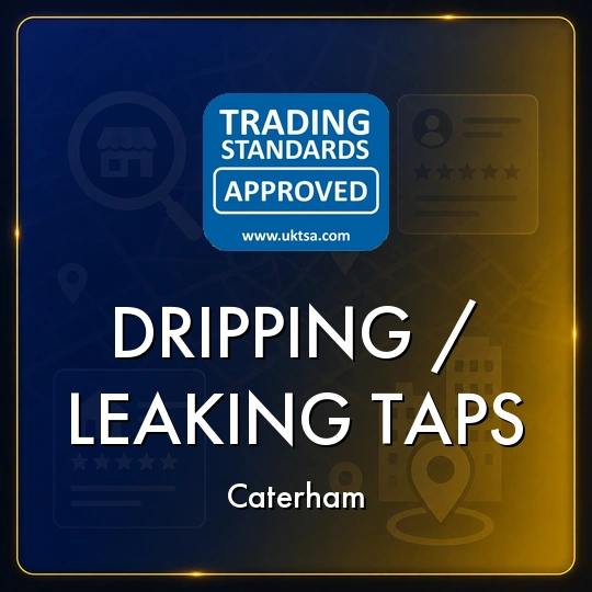Dripping/Leaking