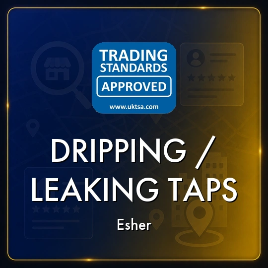 Dripping/Leaking