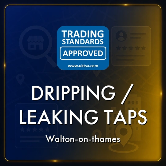Dripping/Leaking