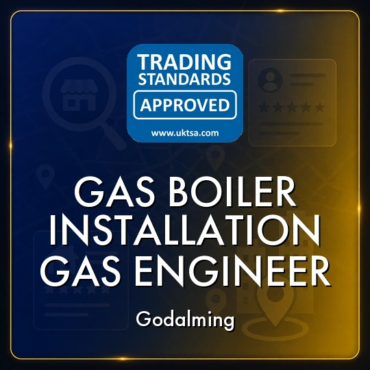 Gas