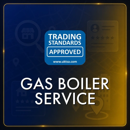 Gas Boiler Service