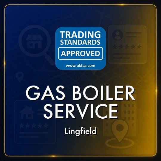 Gas