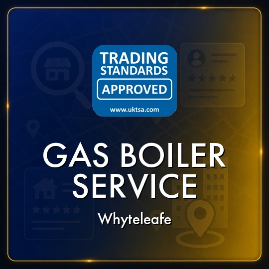 Gas