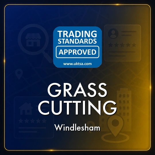 Grass