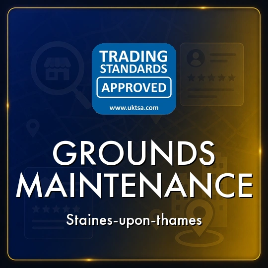 Grounds
