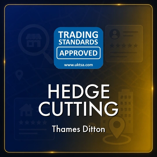 Hedge