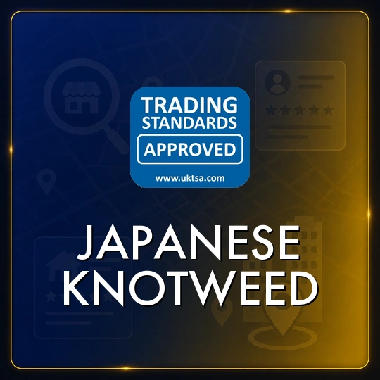 Japanese Knotweed