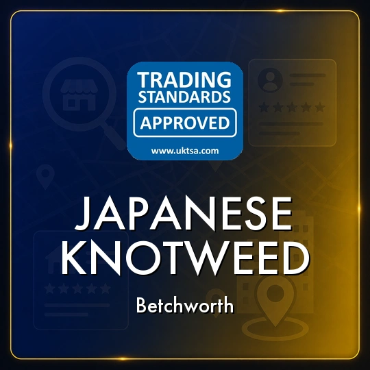 Japanese