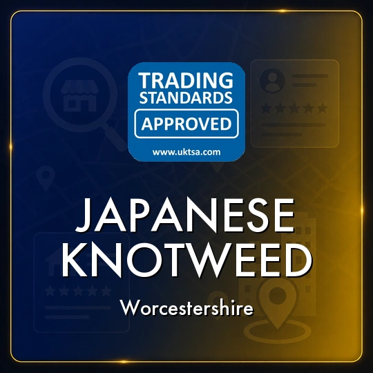 Japanese