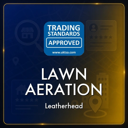 Lawn