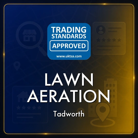 Lawn