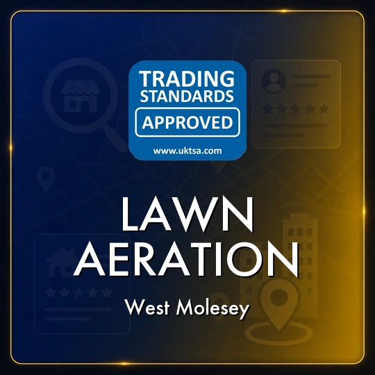 Lawn