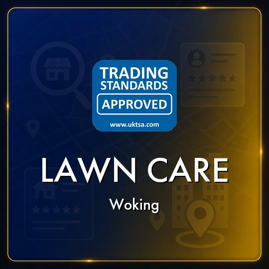 Lawn