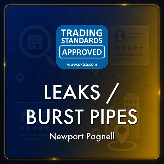 Leaks/Burst
