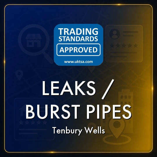Leaks/Burst