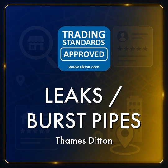 Leaks/Burst