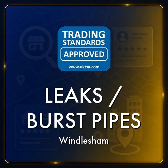 Leaks/Burst