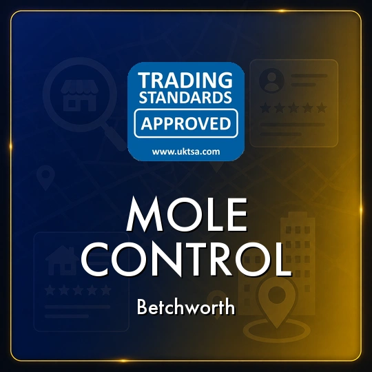 Mole