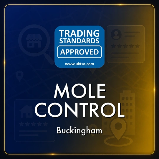 Mole