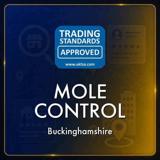 Mole