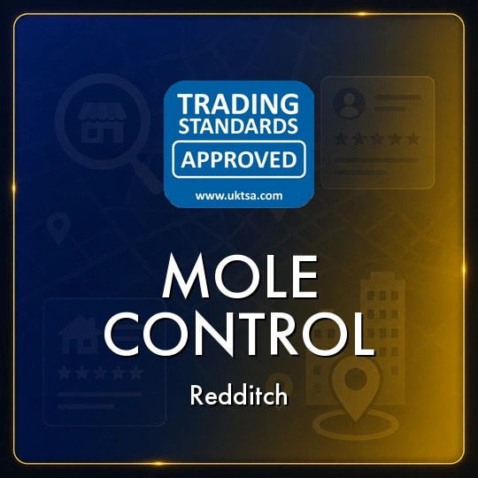 Mole