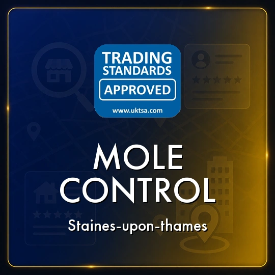 Mole