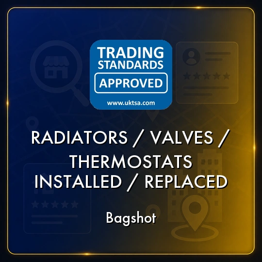 Radiators/valves/thermostats
