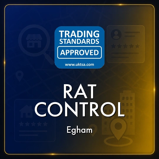 Rat